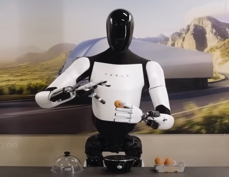 tesla bot doing what human capable of doing